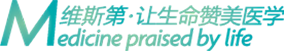 武汉维斯第
